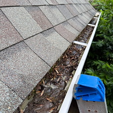 Great-Gutter-Cleaning-in-Apison-TN 3